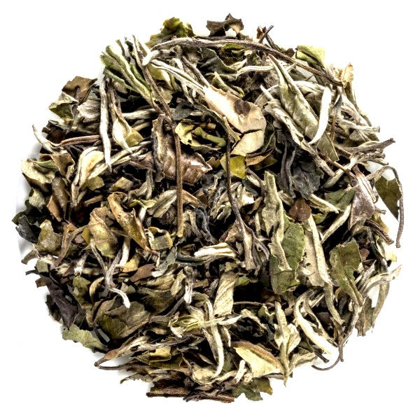 White Fuding Pai mu tan